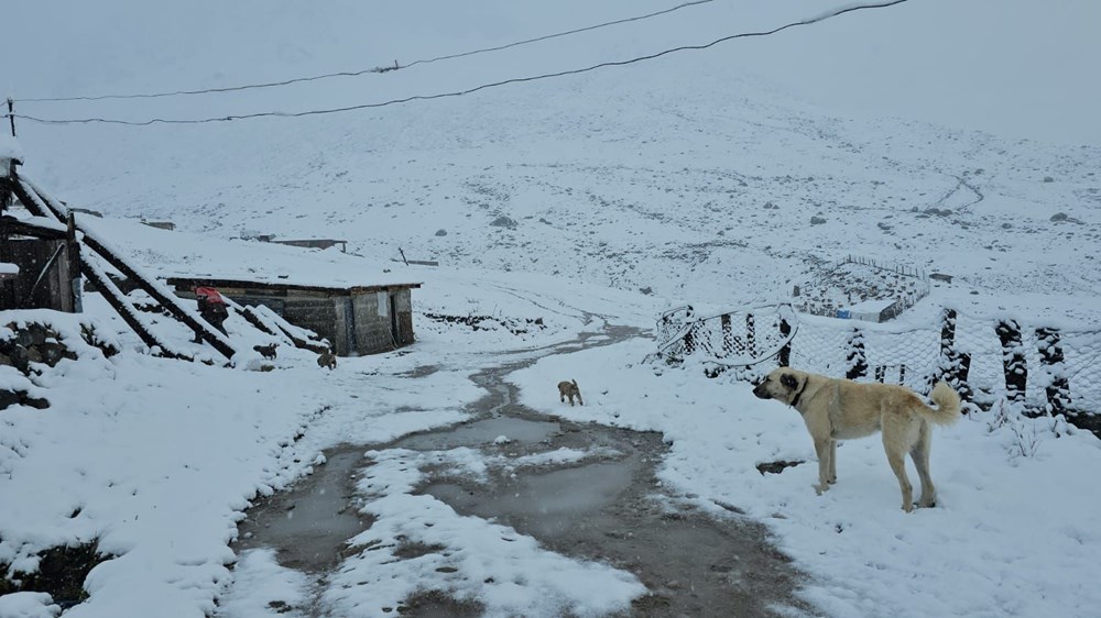 Yağmur kar yağışına döndü, yeni güne bembeyaz başladılar - 4