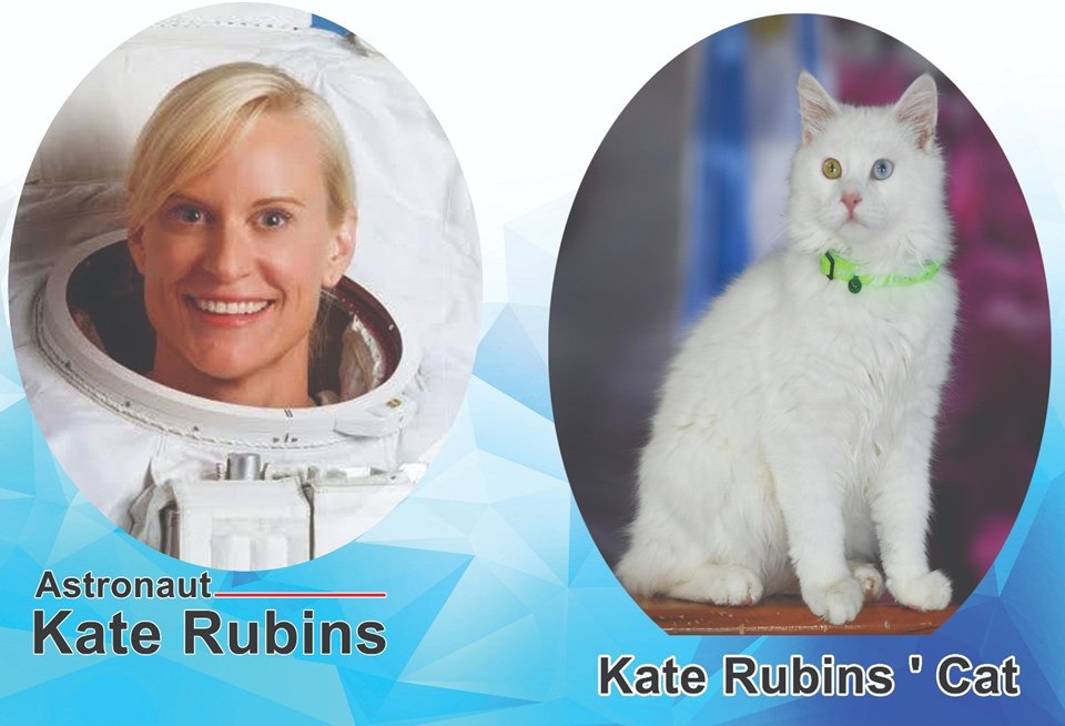 Van Gölü fotoğrafıyla birinciliği kazanan Astronot Kate Rubins'in Van kedisi hazır - 1