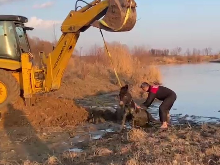 https www ntv com tr diyarbakir