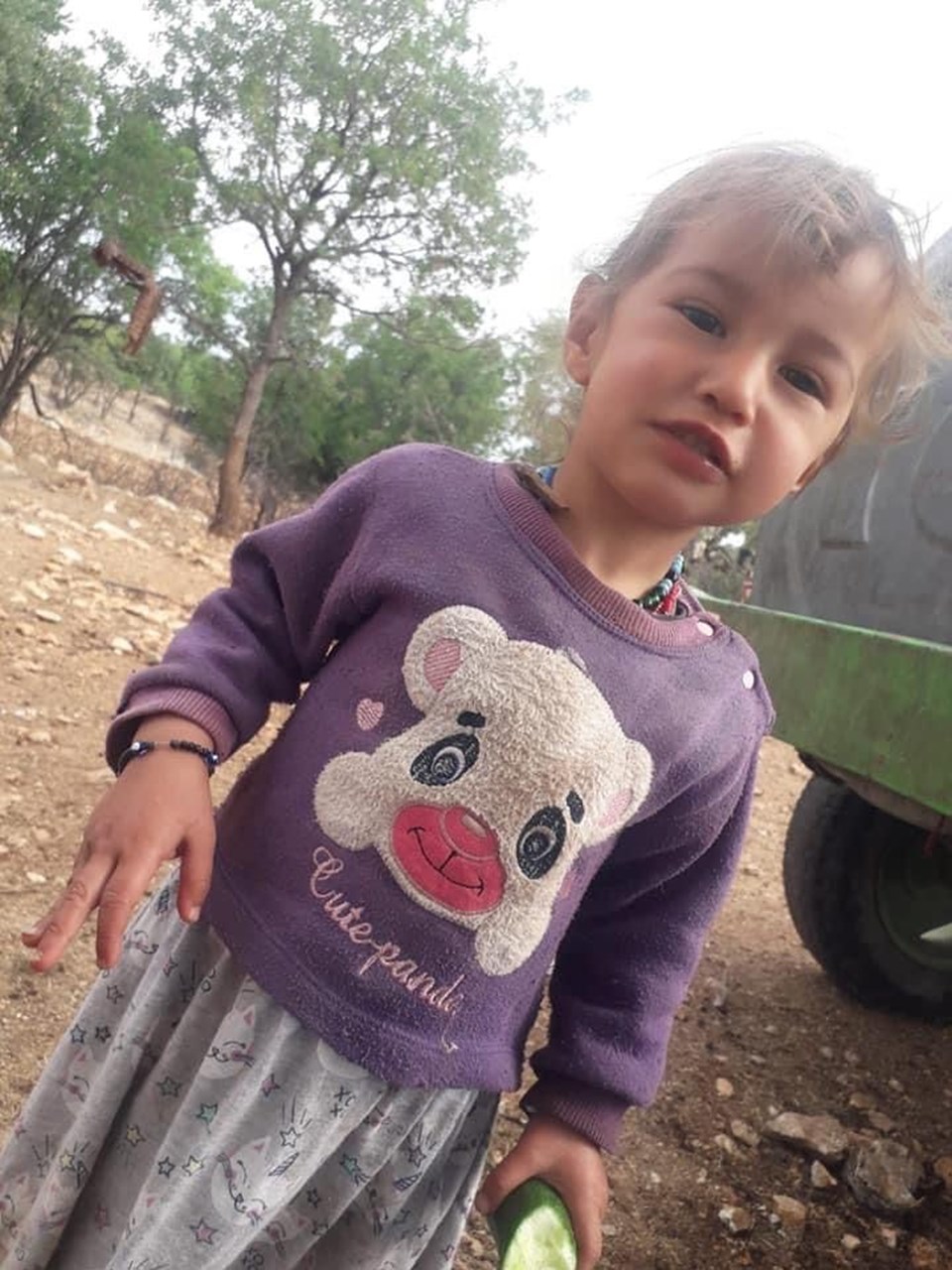3 yaşındaki Müslüme bir haftadır kayıp: Arandığı bölgede kan izine rastlandı - 2