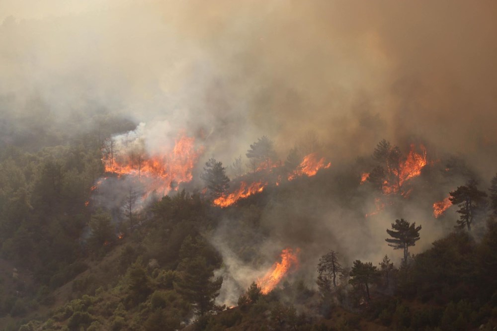 Türkiye'deki orman yangınlarının tahrip ettiği alanların uydu görüntüleri yayımlandı - 8
