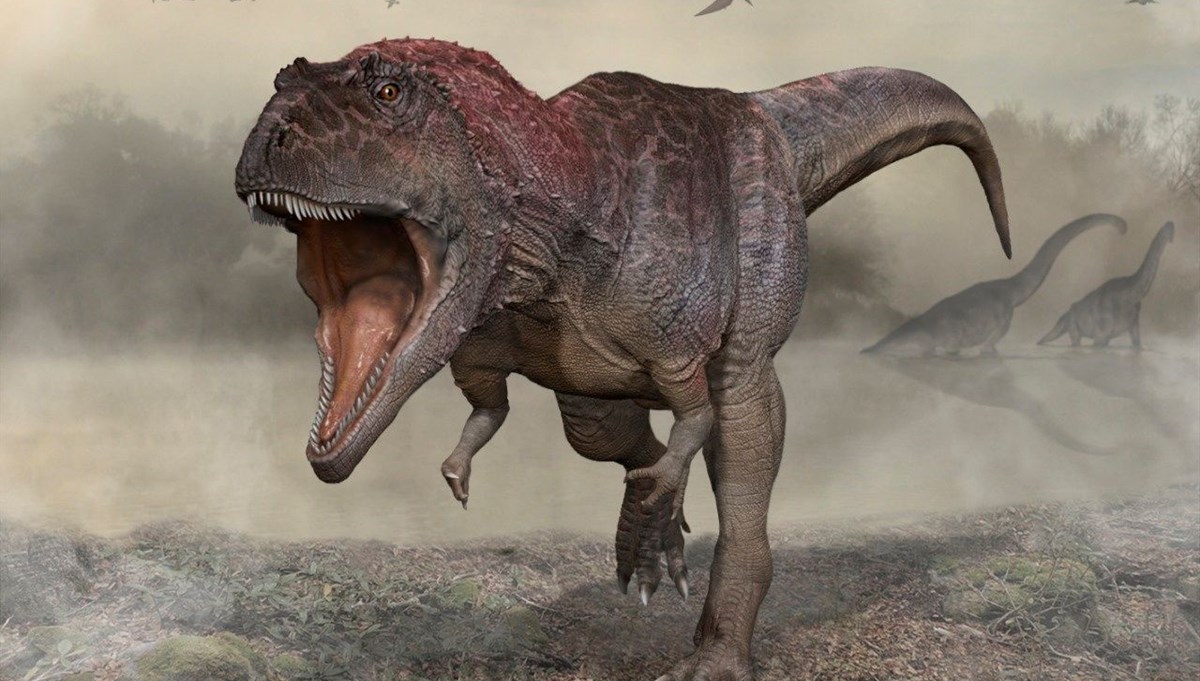 Arjantin'de yeni bir dev dinozor türü keşfedildi: Meraxes gigas