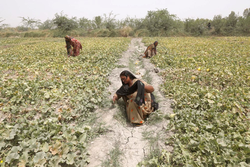 Dünyanın en sıcak şehri: Pakistan'daki Jacobabad’da termometreler 51 dereceyi gösterdi - 4