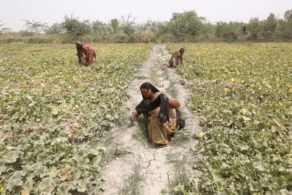 Dünyanın en sıcak şehri: Pakistan'daki Jacobabad’da termometreler  51 dereceyi gösterdi - 4