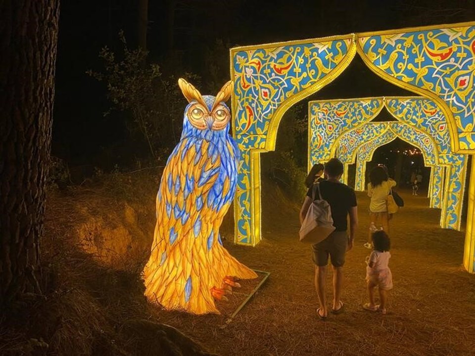 İstanbul'da "Ormanda Işık Festivali" başladı: Işık Festivali nerede? - 1