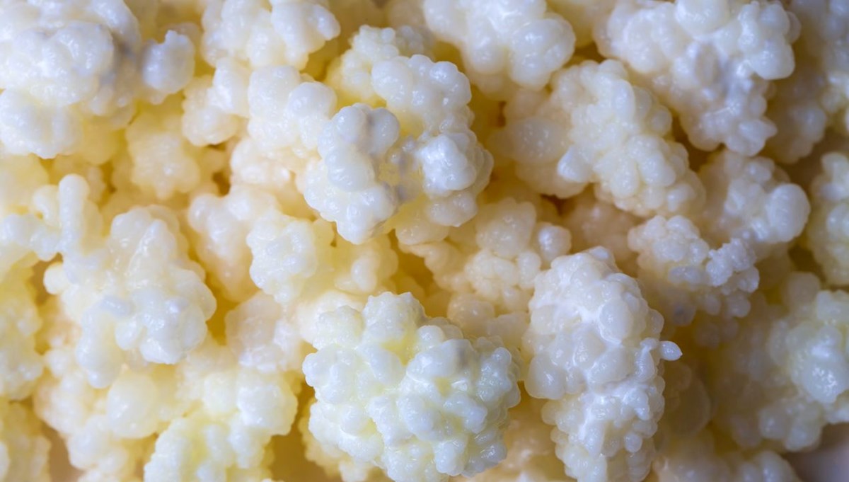 Fosfor zengini 8 besin: Kemik ve diş sağlığını koruyor