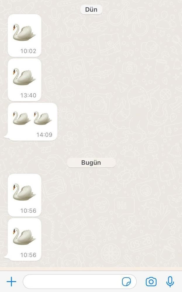 Doktorun ilaç mümessiline gönderdiği her bir kuğu, bir hastayı simgeliyor.
