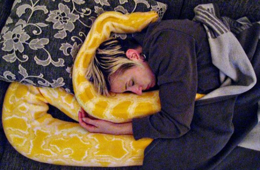 Змея спит фото Змея спит фото