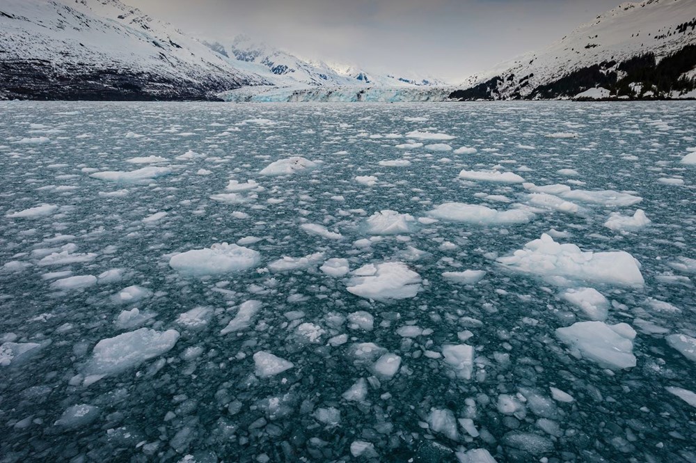 Tarihin en düşük seviyesinde: Arktik deniz buzunun kalbi bu yaz tamamen eriyebilir - 5