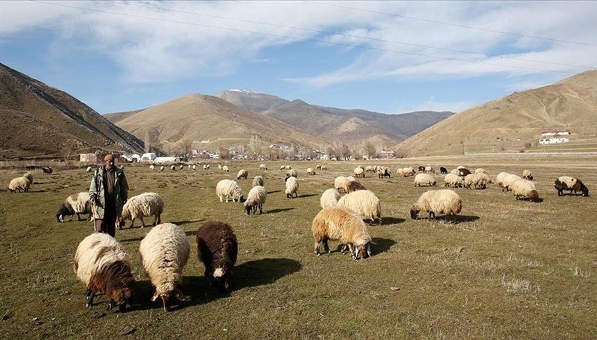 Mera davası sonuçlandı, iki ilçenin sınırları değişti