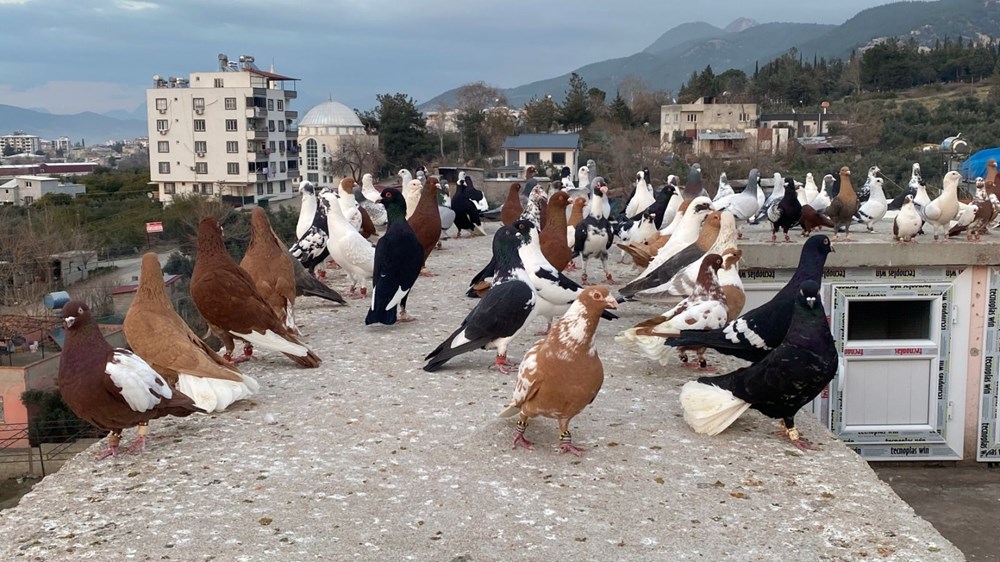 Dedenin Mirası, Torunun Tutkusu: 1,5 Milyonluk Hobi! 73 zJbbfooqe0e EFqMHhIcng
