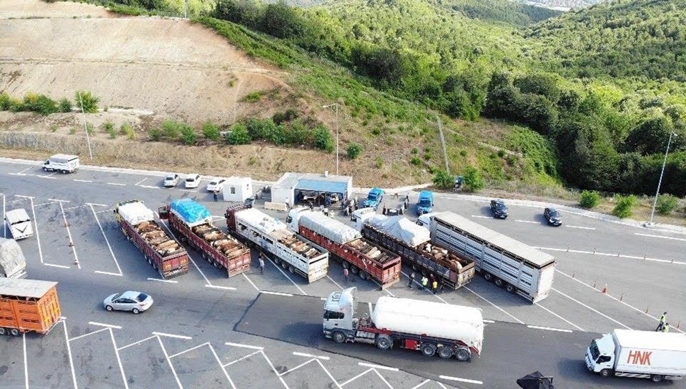 İstanbul'da kurbanlık hayvan denetimi - 5