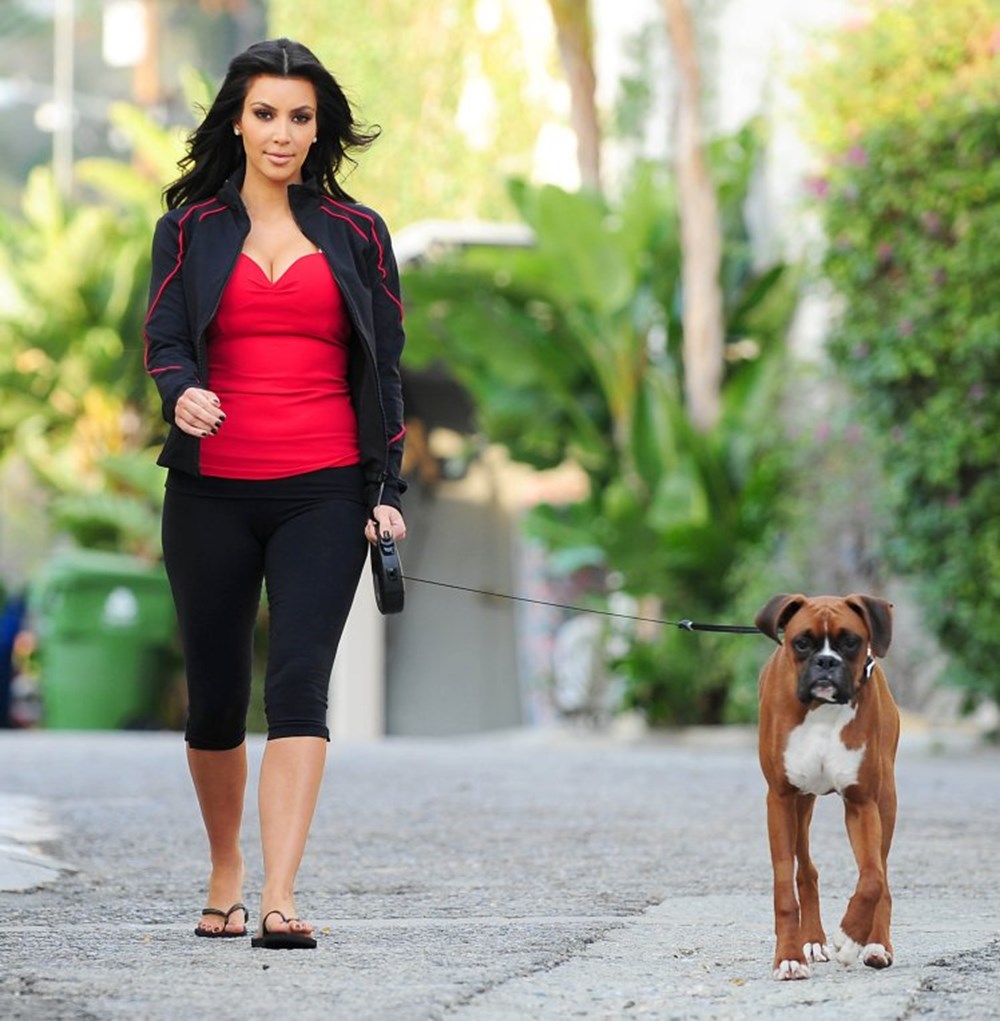 Kim Kardashian köpeğine estetik yaptırdı - Magazin Haberleri