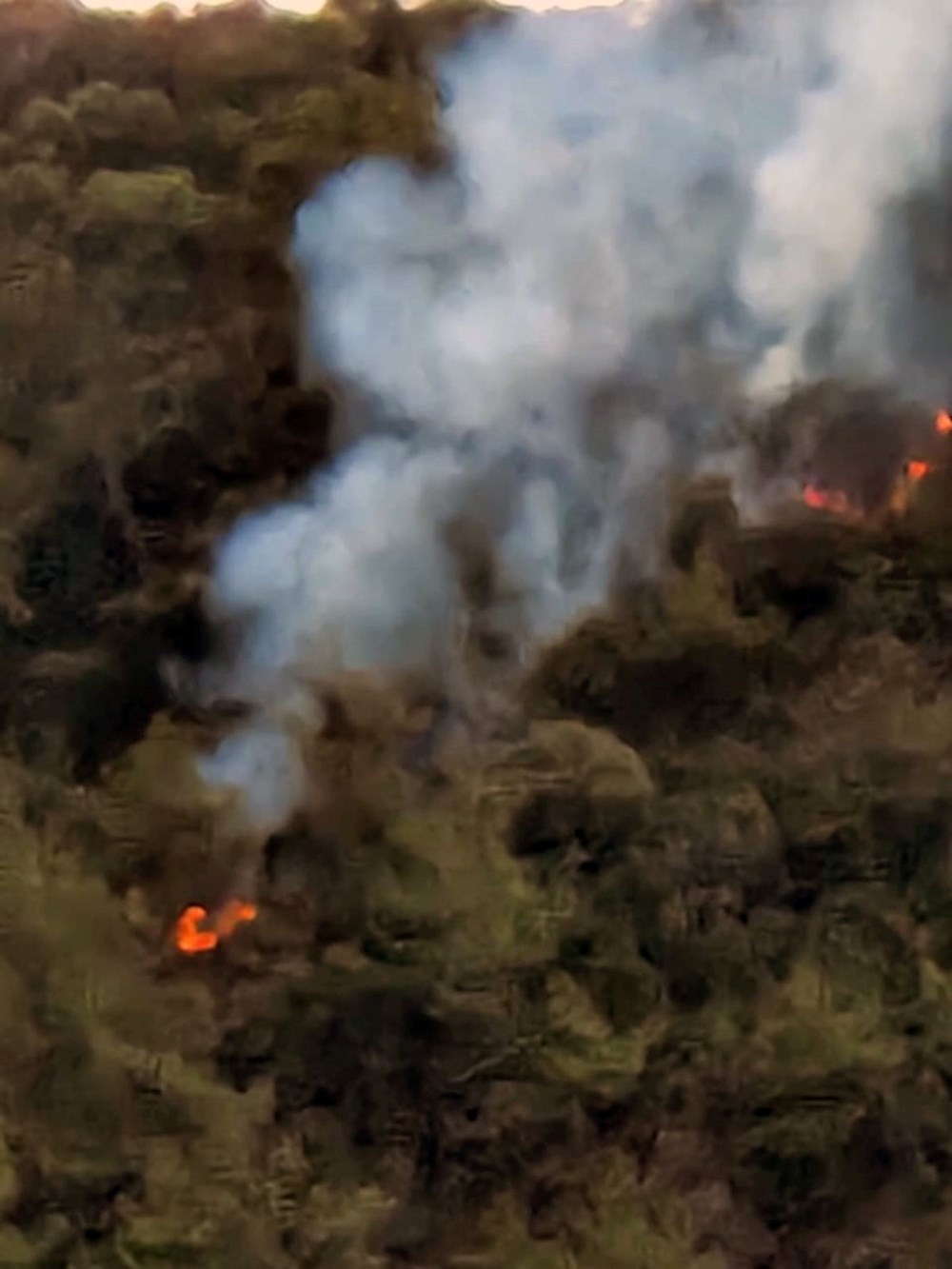 Marmaris'te orman yangını - 3