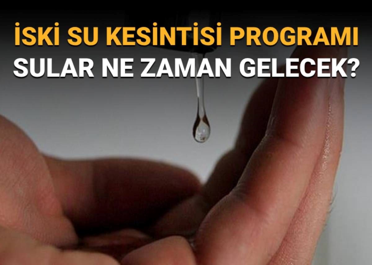 zM6YeGdRdkaaUQLJAKsSmw.jpg