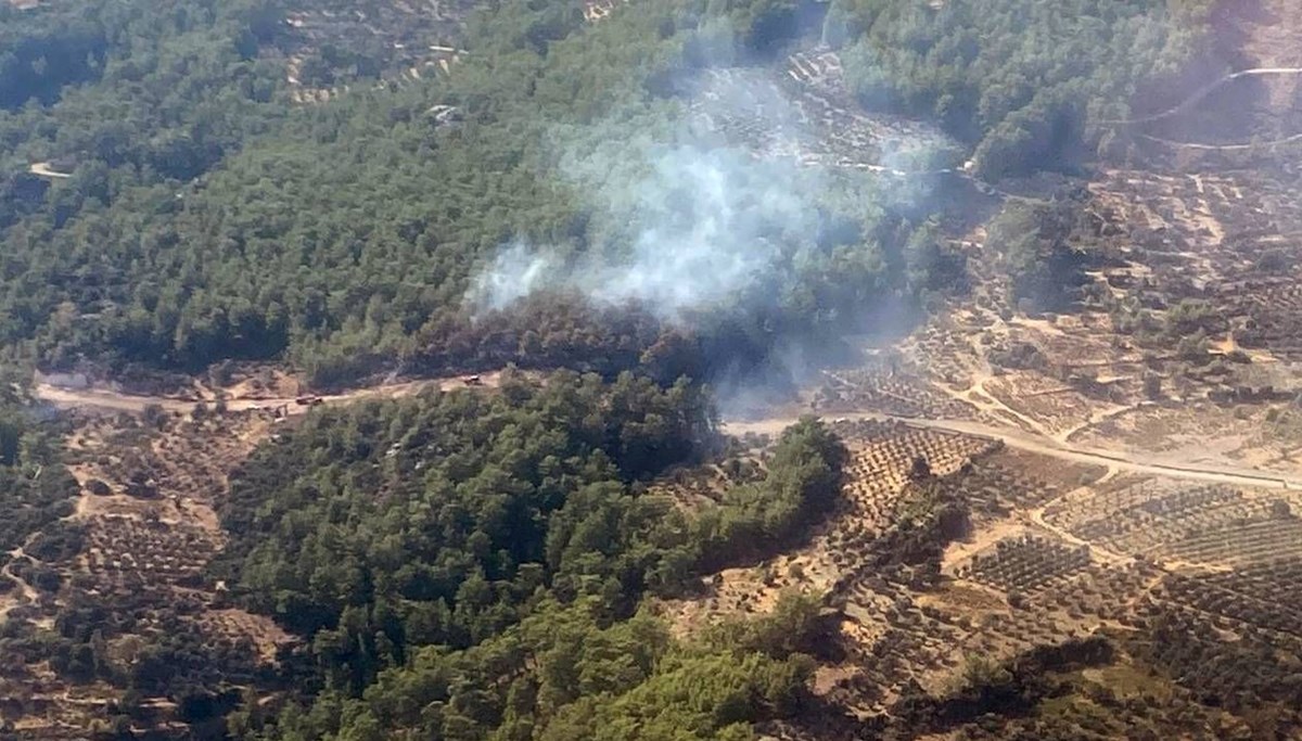 Muğla'da orman yangını kontrol altına alındı
