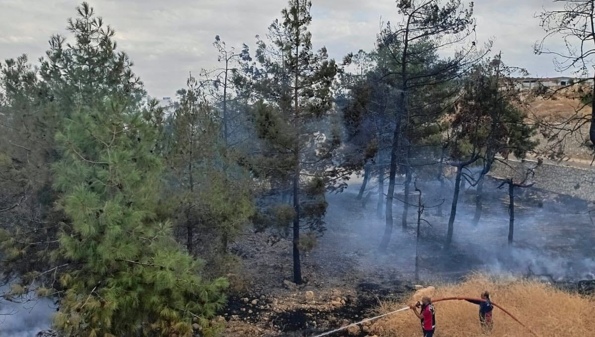 Fabrikanın ağaçlık alanında çıkan yangın korkuttu