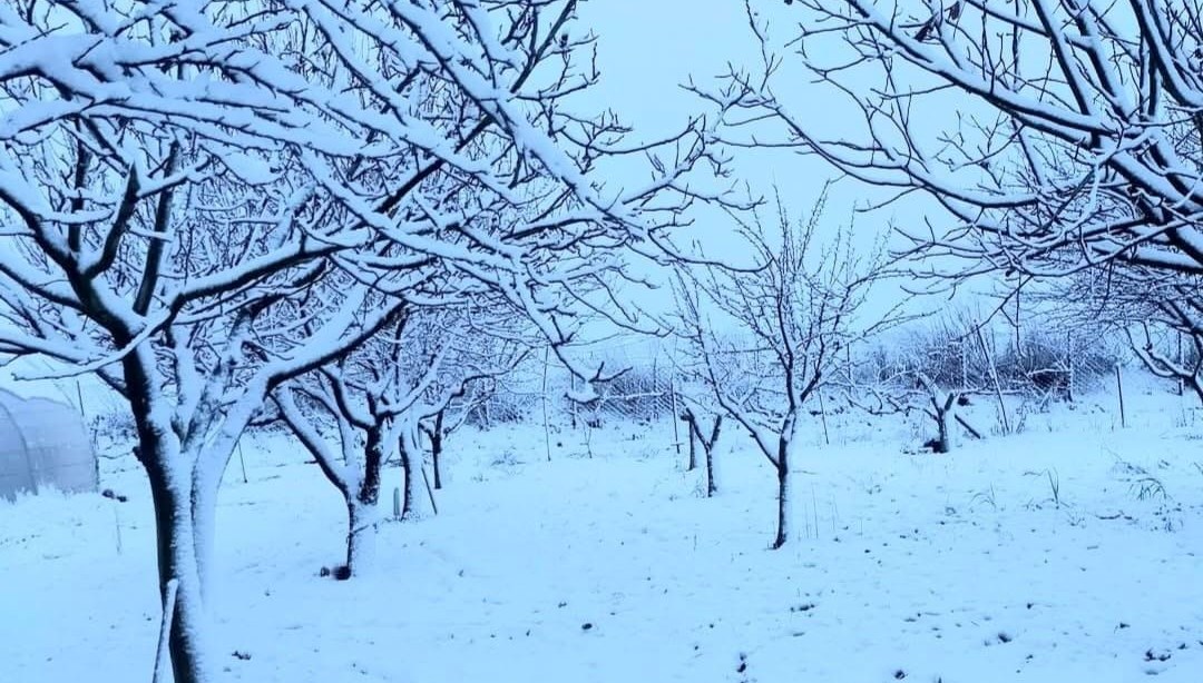 Tekirdağ'da kar yağışı etkili oldu