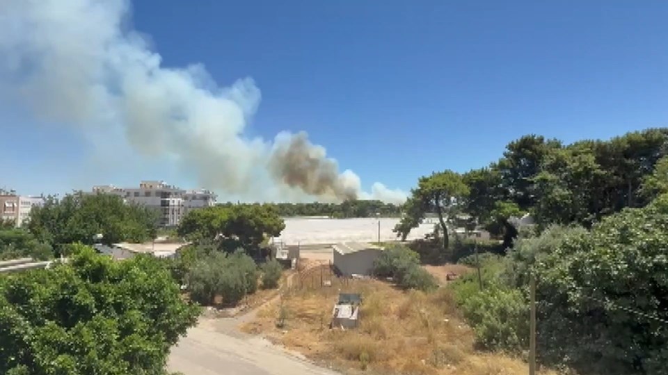 Çanakkale ve Antalya'da yangınlar söndürüldü, Hatay'da müdahale devam ediyor - 1