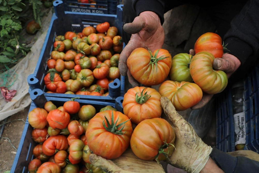 Tarladan Sofraya Fiyat Uçurumu: Neden 28 TL'lik Ürün Marketlerde 60 TL? 76 zP7uwPsKoUOfX YOCC7EUg