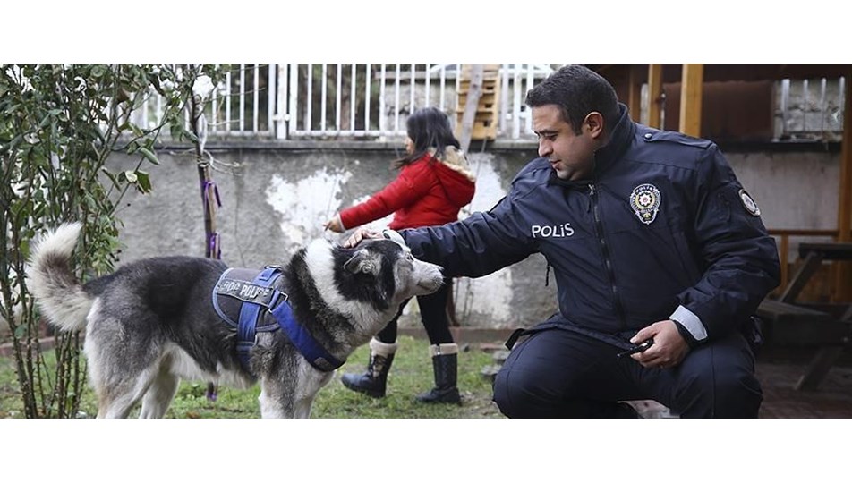 Sokak hayvanlarına sahip çıkan karakol