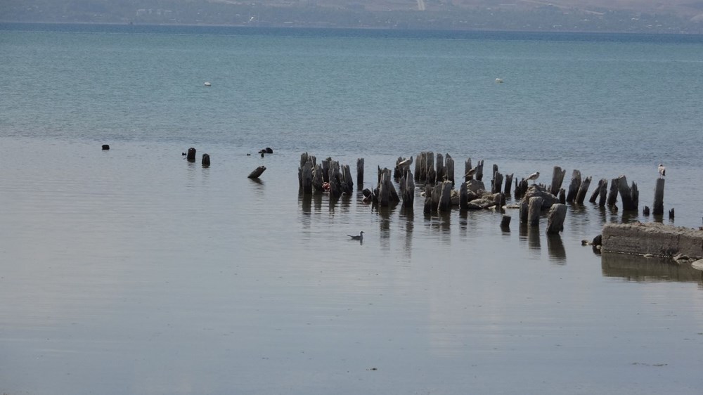 Van
Gölü’nde suyun çekilmesi ile yüz yıllık iskele ortaya çıktı - 10