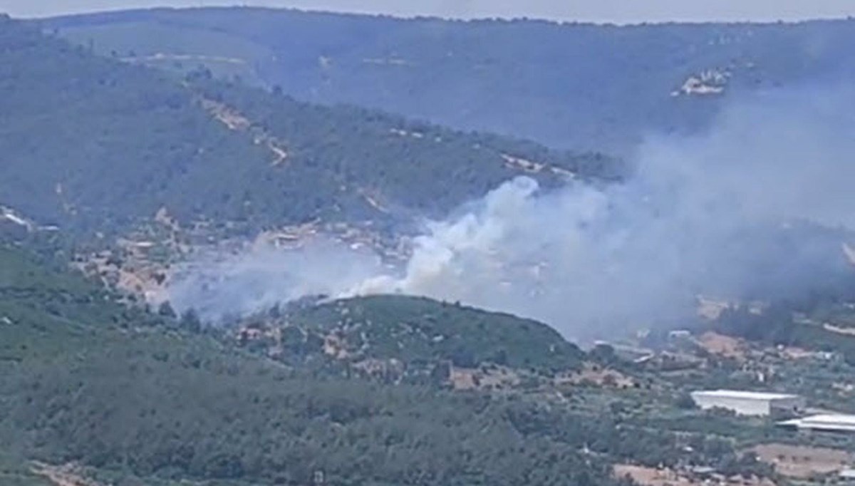 İzmir'deki orman yangını kontrol altında
