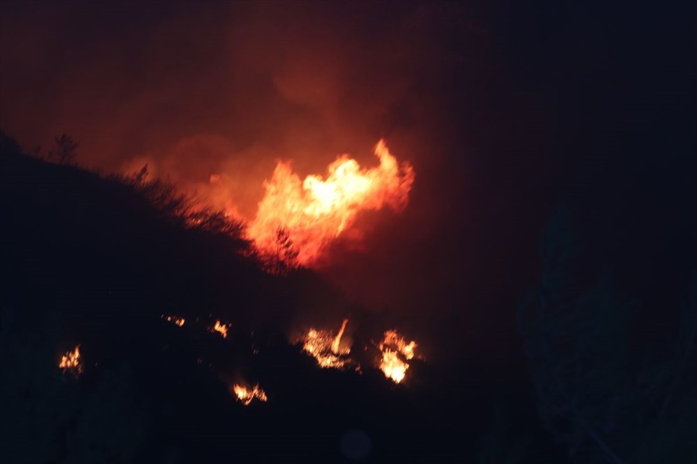 İzmir'in Menderes ilçesindeki yangına bir gözaltı - 24