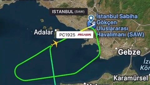 Sabiha Gökçen'de tavşan alarmı