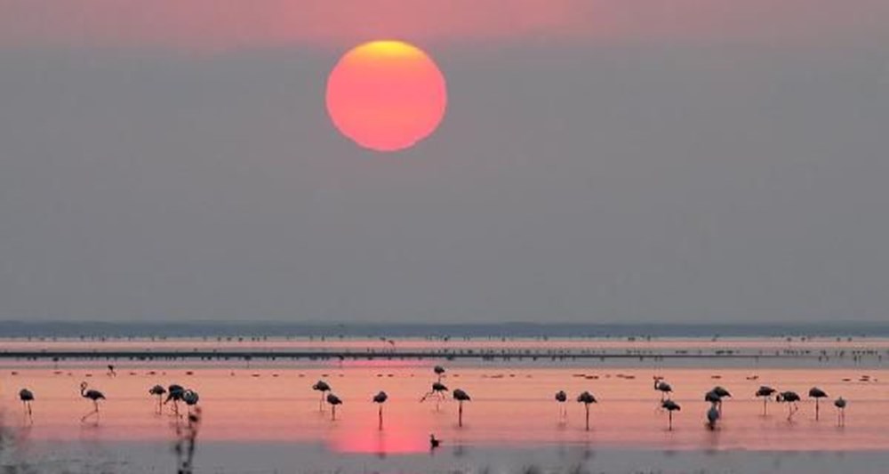 187 kuş türüne ev sahipliği yapan Seyfe Gölü tamamen kurudu - 2