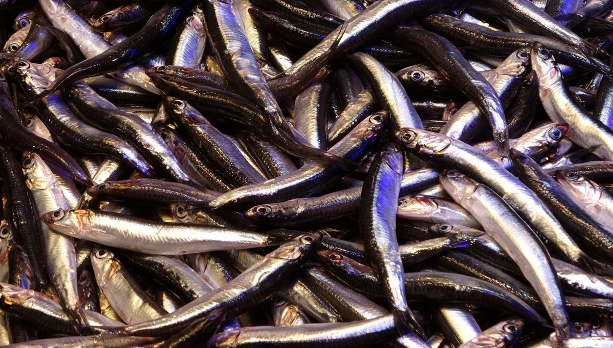 Tezgahta bol ama istenilen boyda değil: Standartları karşılayamadı