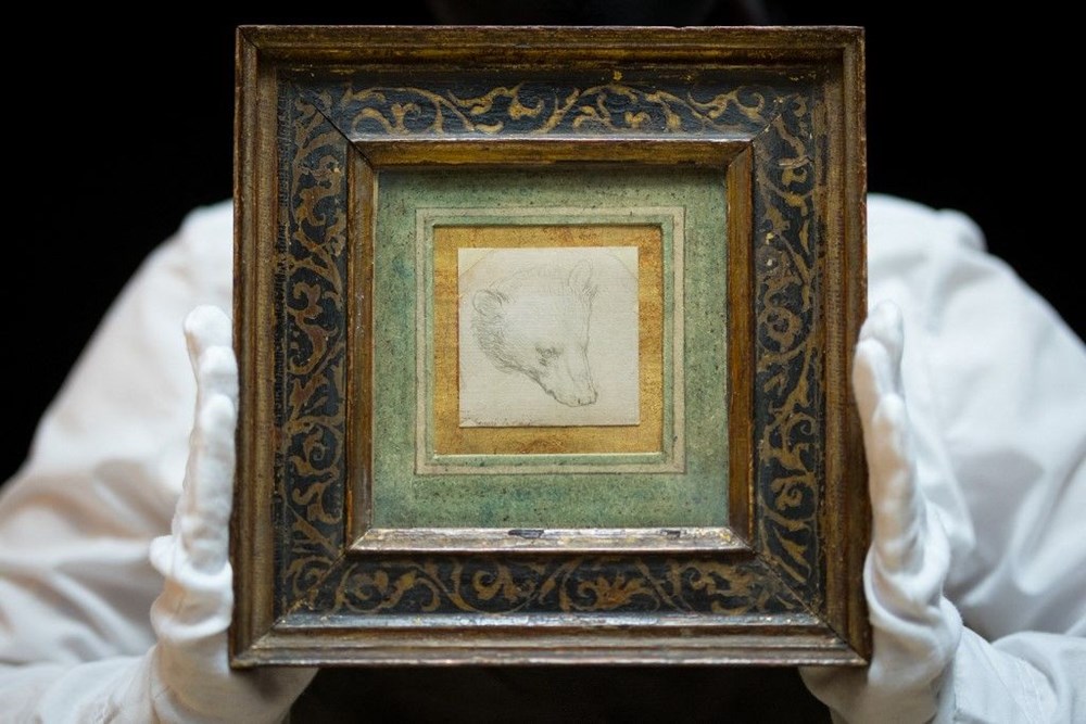 Leonardo da Vinci'nin Head of a Bear adlı çizimi rekor fiyata satıldı - 4