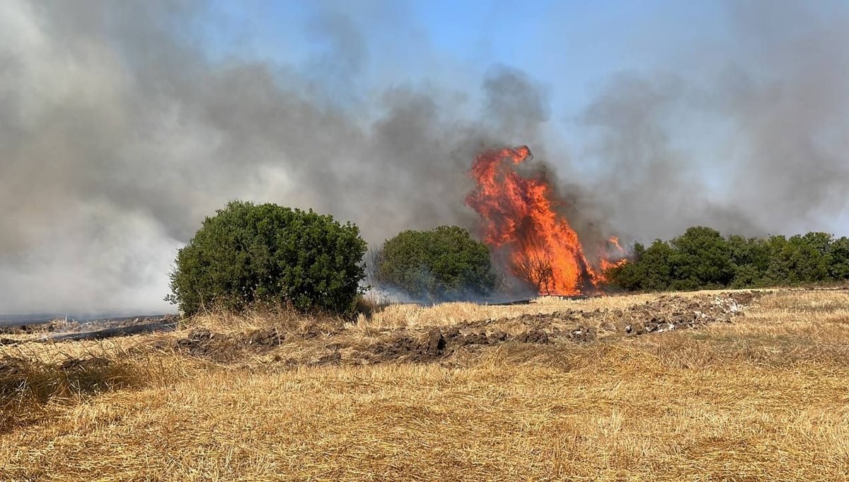 Çanakkale Biga'da orman yangını