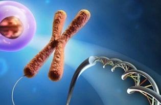 telomerler kanser ve olumsuzluk