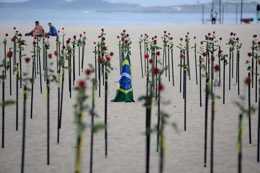 500 roses in memory of 500 thousand people - 6