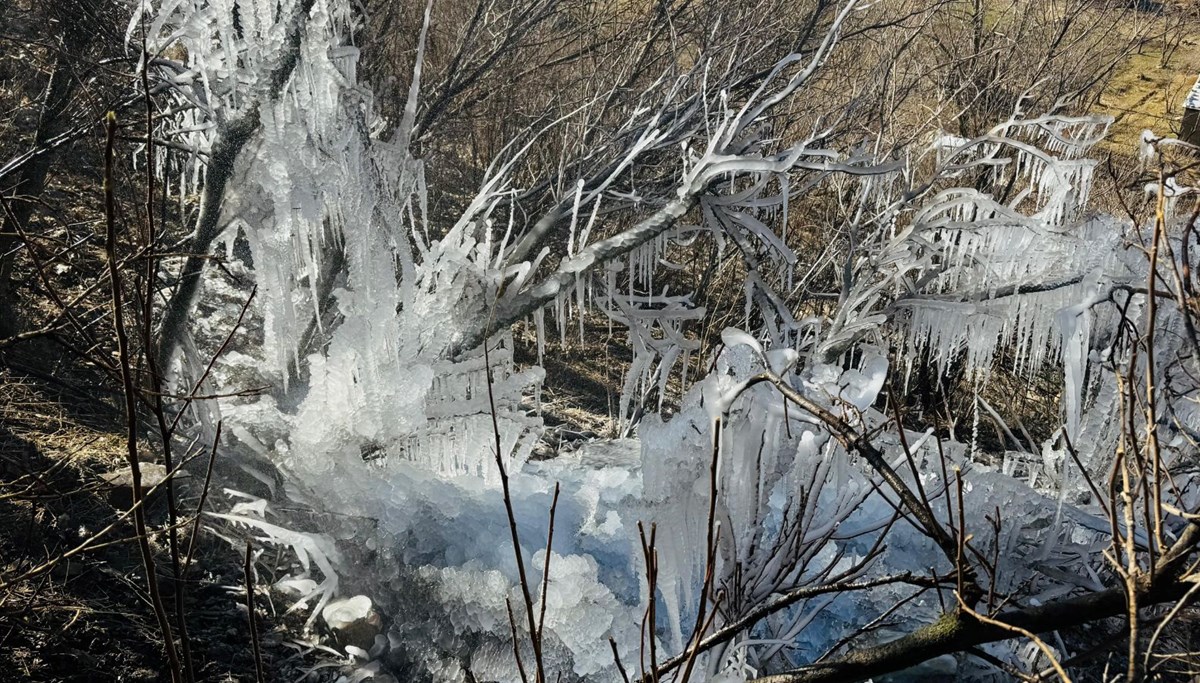 Şırnak'ta hava sıcaklığı eksi 10 dereceye düştü: Ağaçlarda buz sarkıtları oluştu