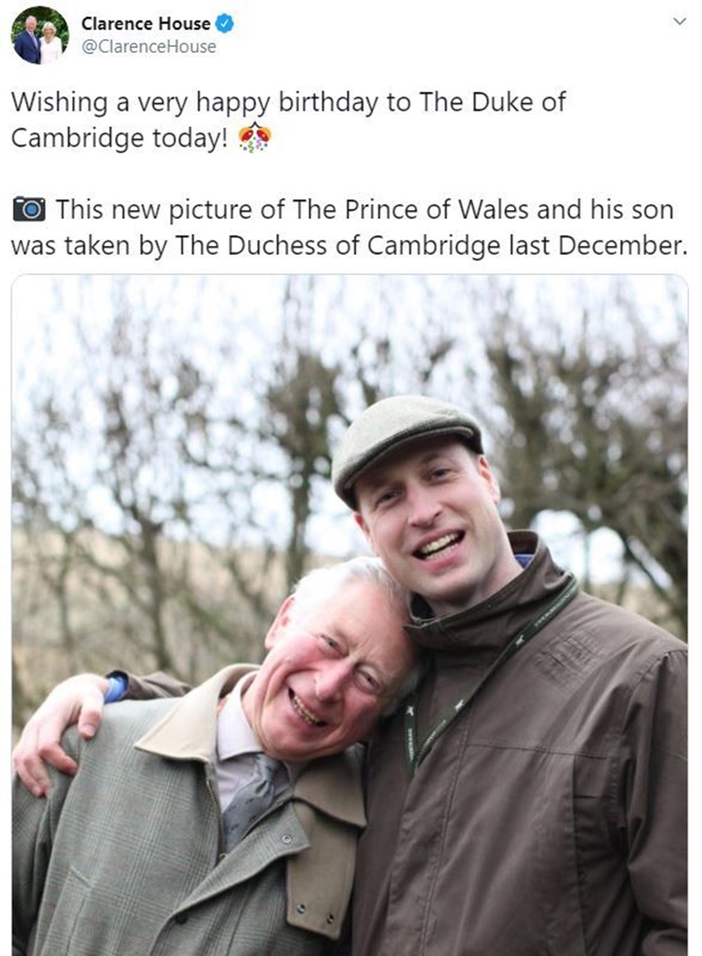 İngiltere veliaht Prensi William 38’inci doğum gününü kutladı - 2