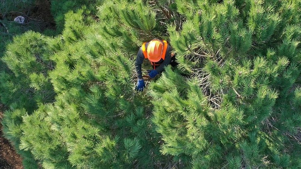 OGM 2025: 4500 Sürekli İşçi Alımı Başvuruları Ne Zaman Başlıyor? Şartlar ve İŞKUR Başvuru Rehberi 75 zWyMUIi69E6gsrJZhsJprA