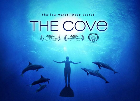 yakinda yunus kalmayacak magazin haberleri ntv