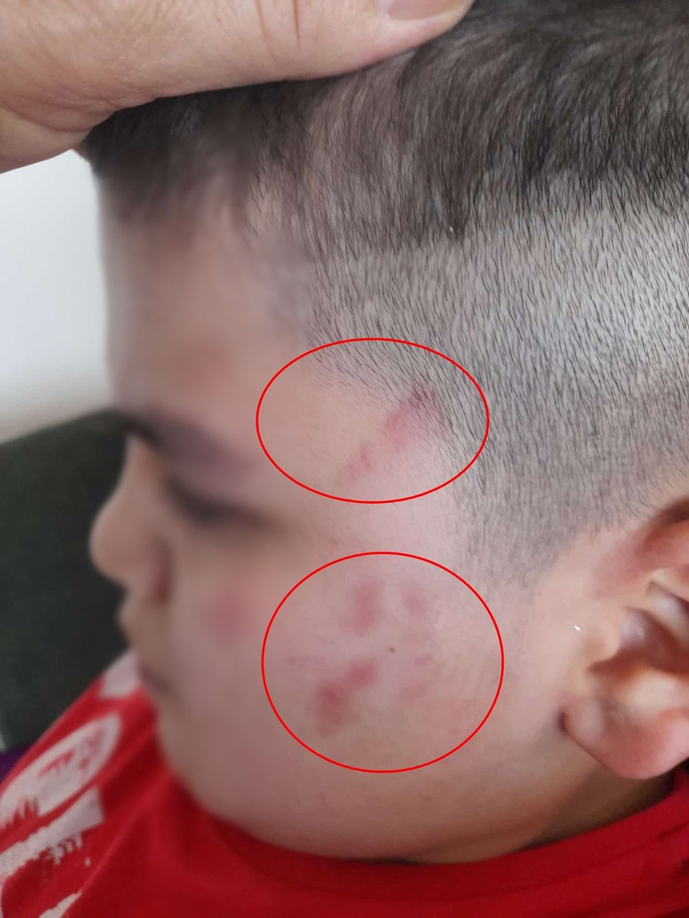 Otizmli Öğrencinin Okulda Şiddet Deneyimi: Kapsamlı Bir İnceleme 75 zXo oWYv2ki0QIJ5F 5apw