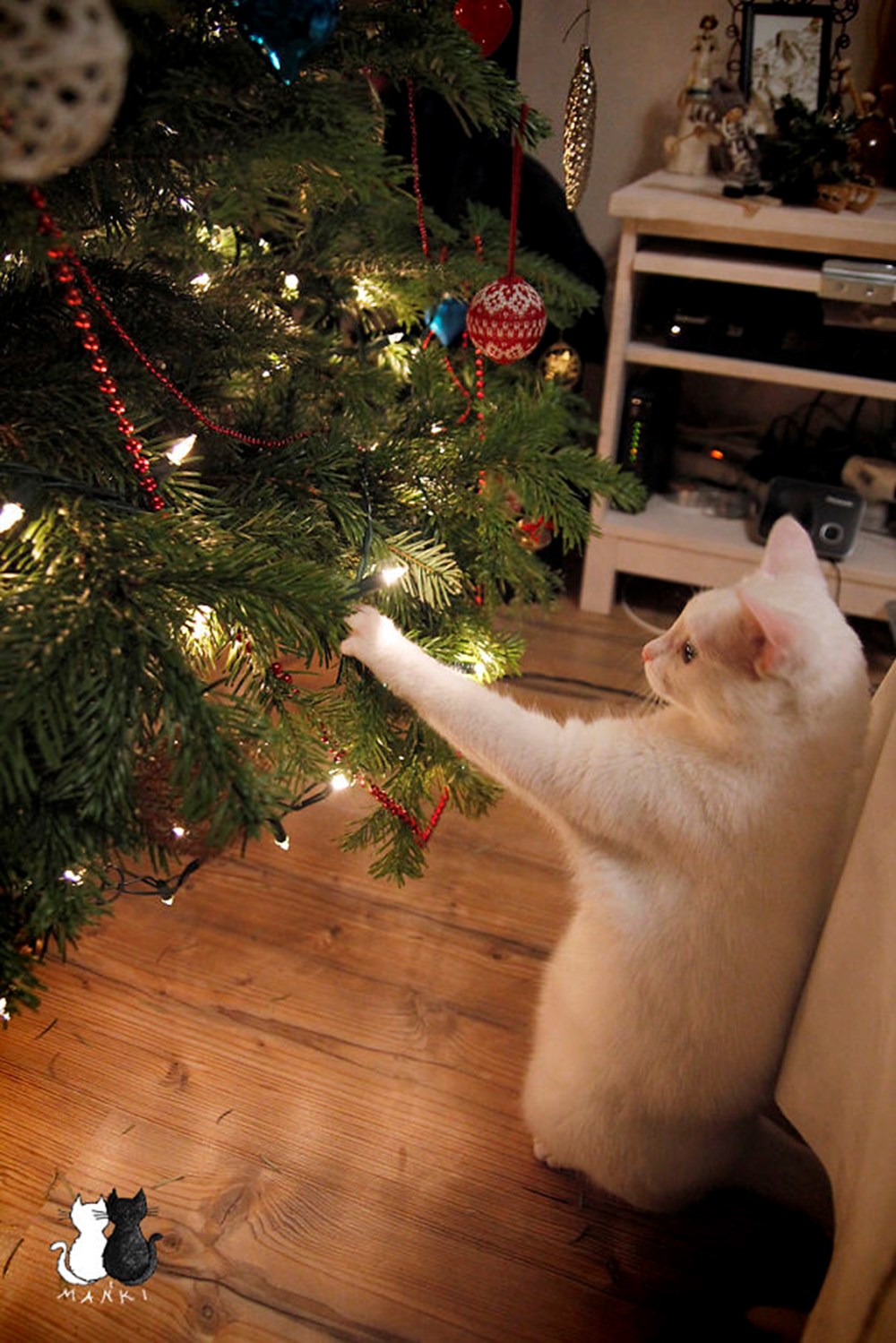 Елкий. Новогодний котик. Коты и елки. Кот и елка. Кошка и елка.