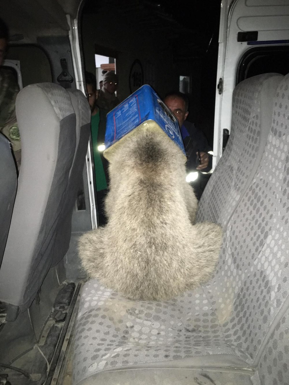 Ağrı'da ayı kurtarma operasyonu - 1