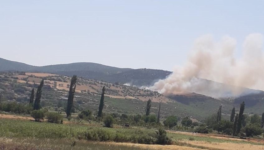 Üç şehirde orman yangını: Ekipler müdahale ediyor
