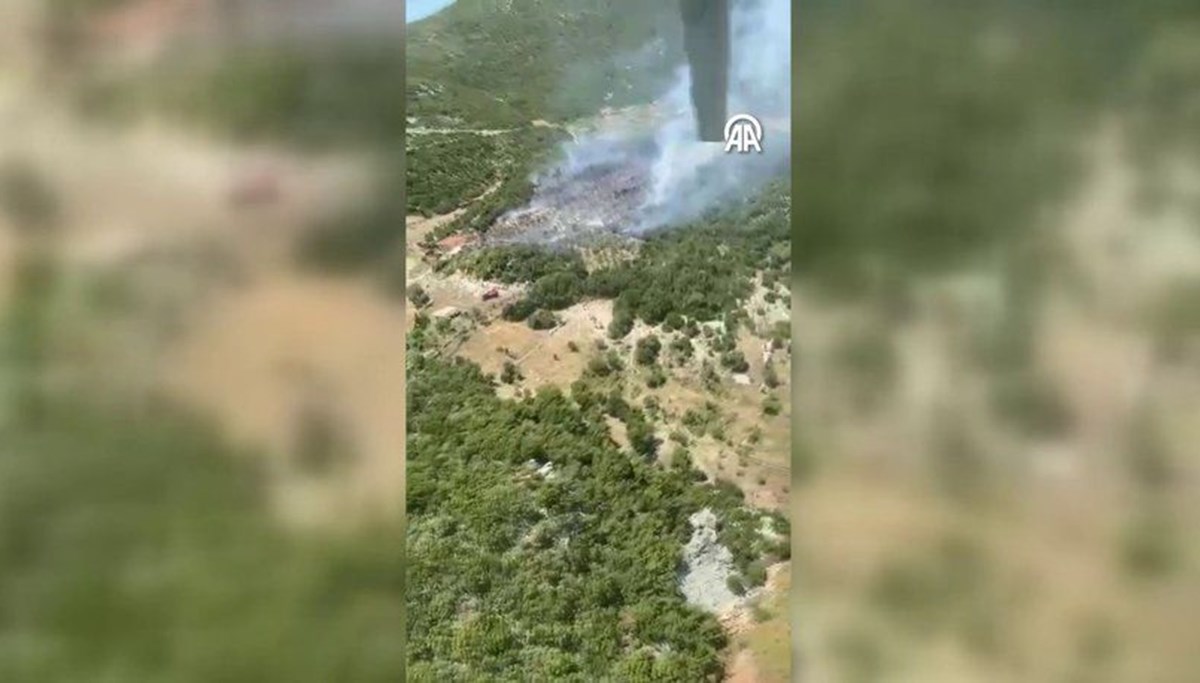 Antalya Kaş'ta orman yangını