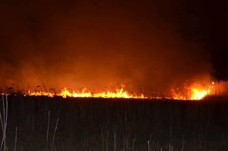 İznik Gölü kıyısındaki sazlık alanda yangın - 1