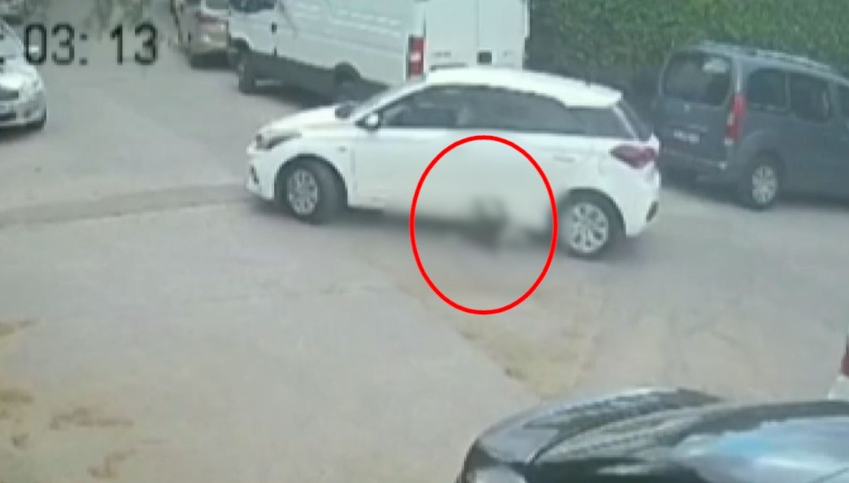 Köpeği ezen sürücünün rahatlığı pes dedirtti