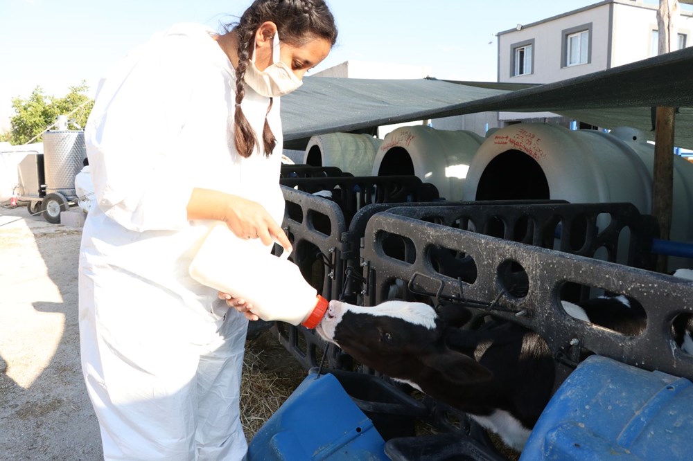 Niğde'de devlet desteğiyle 7,5 milyon liraya çiftlik kurdu - 17