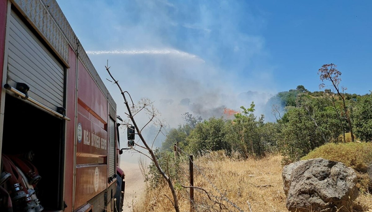 Muğla'nın 3 farklı noktasında yangın