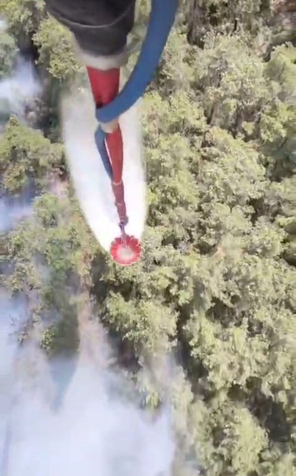 Çanakkale ve Muğla'da orman yangını: Gelibolu'da alevler büyük ölçüde kontrol altında - 9