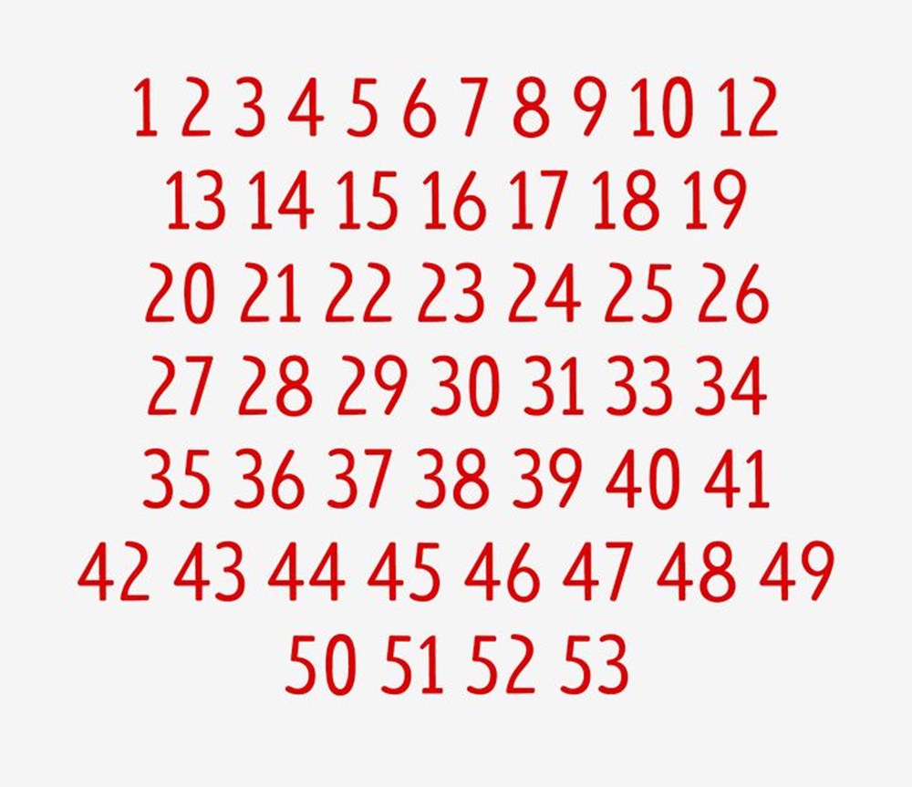 Bu görsel size kim olduğunuzu söylüyor: Resimde ilk önce hangi hayvanı gördünüz? - 19